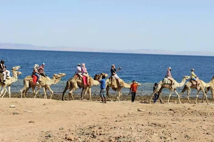 Sea Soul Hotel Dahab Eksteriør billede
