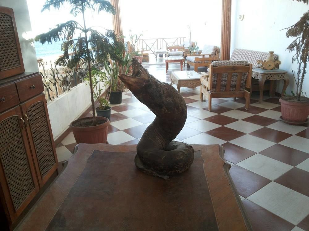 Sea Soul Hotel Dahab Eksteriør billede